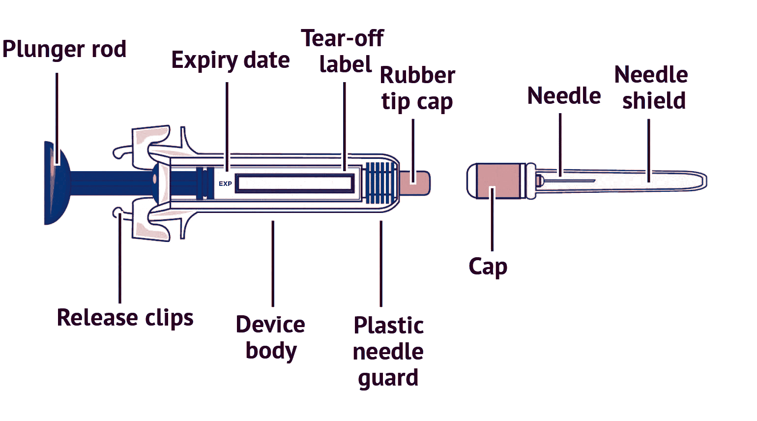 Syringe Schematic